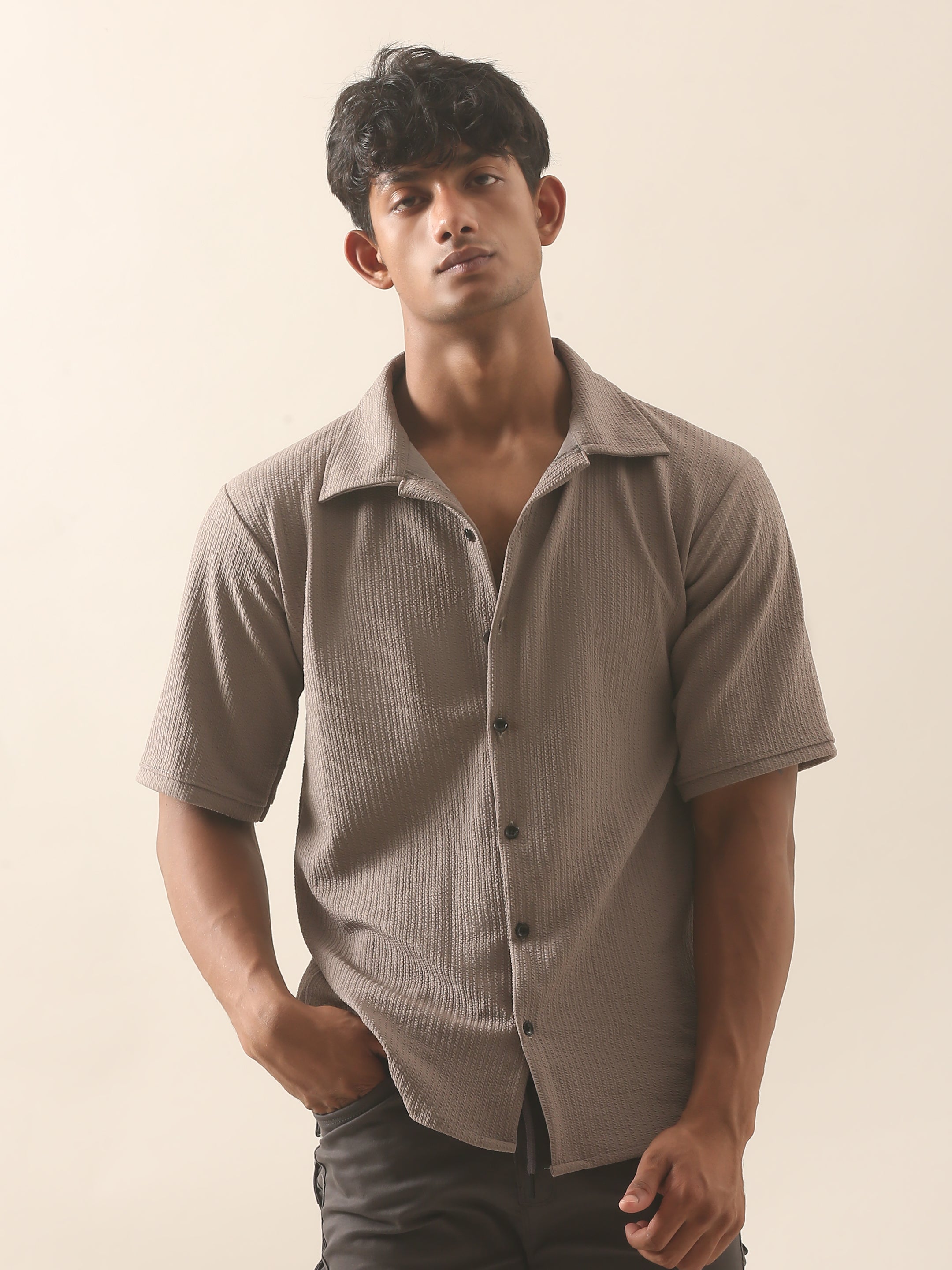 Textured Taupe Half Sleeve Casual Shirt